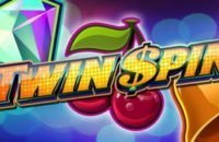 Twin Spin -kolikkopeli