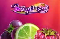 Berry_burst