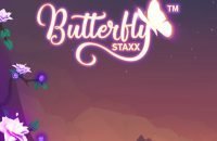 Butterfly_staxx