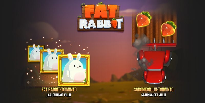 fat rabbit erikoistoiminnot