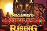 Buffalo Rising