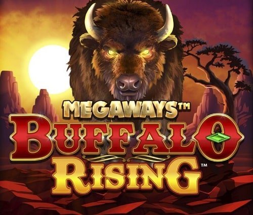 Buffalo Rising
