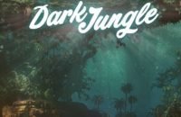 Dark Jungle