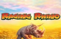 Raging Rhino