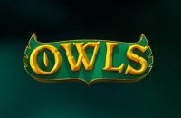 Owls-slotti