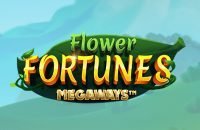 Flower Fortunes Megaways kolikkopeli