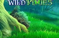 wild_pixies_kolikkopeli