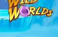 wild_worlds_kolikkopeli