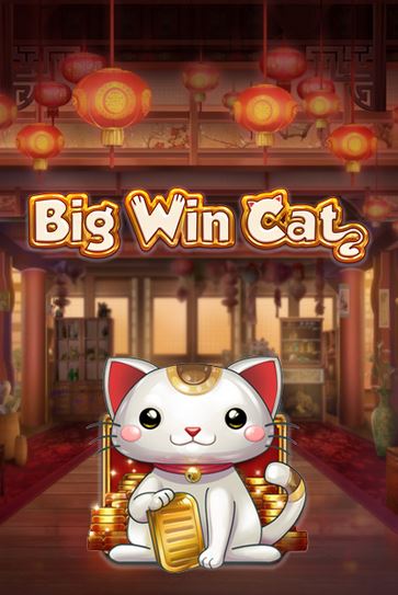 big win cat play'n go logo